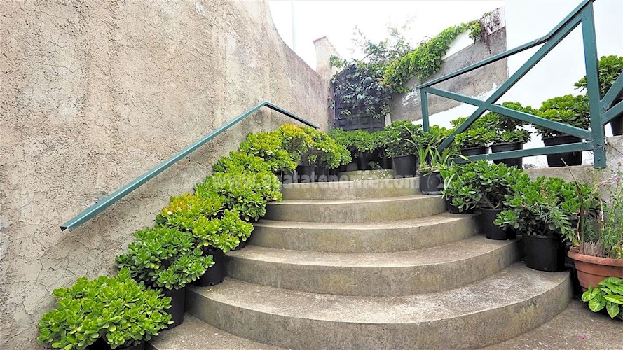 3 bed villa for sale in La Guancha