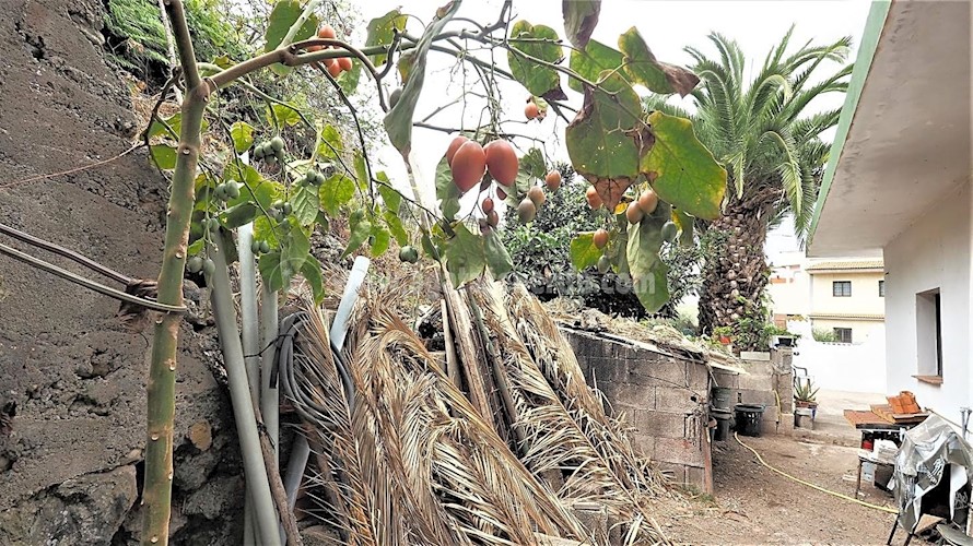 3 bed villa for sale in La Guancha