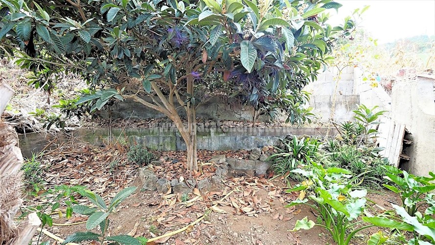 3 bed villa for sale in La Guancha