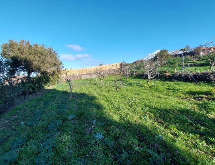 2 bed villa for sale in San Jose de Los Llanos