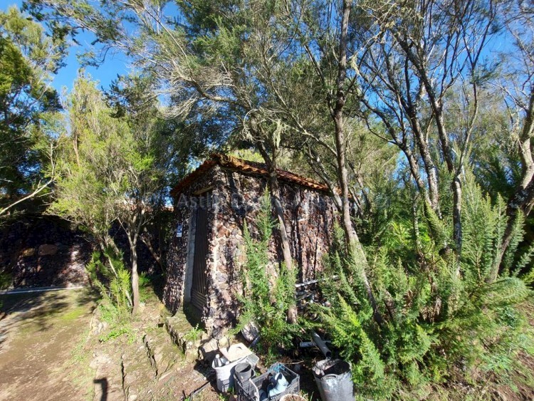 2 bed villa for sale in San Jose de Los Llanos