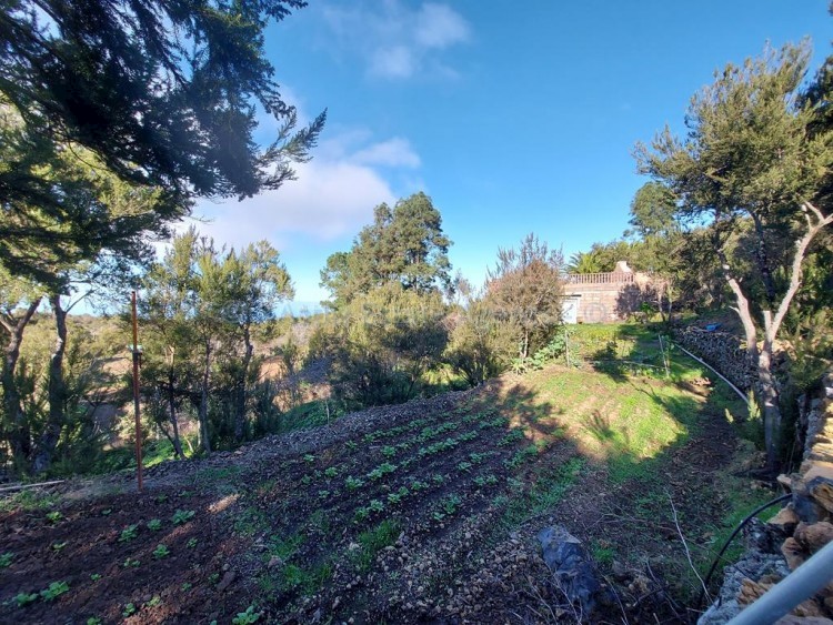 2 bed villa for sale in San Jose de Los Llanos