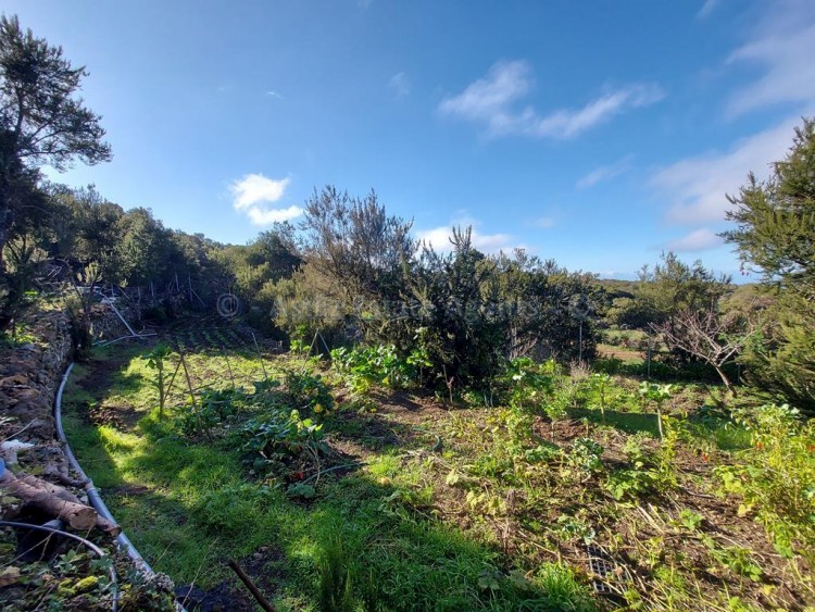 2 bed villa for sale in San Jose de Los Llanos