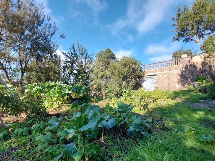 2 bed villa for sale in San Jose de Los Llanos