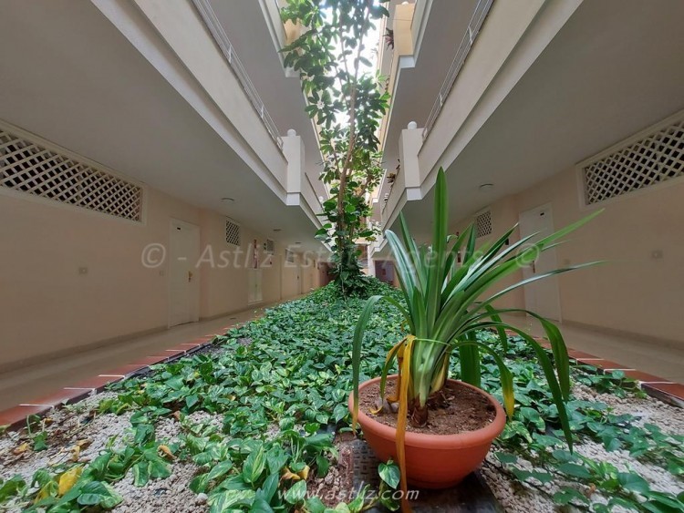 1 bed apartment for sale in Olivia Sunset, Puerto de Santiago