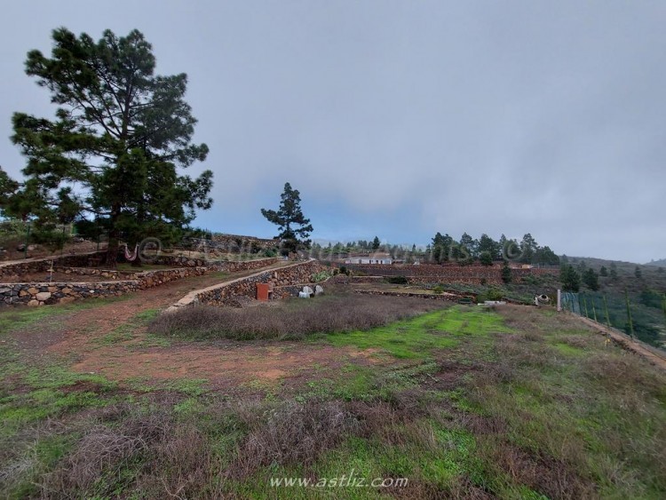 1 bed canarian house for sale in Cho Pancho