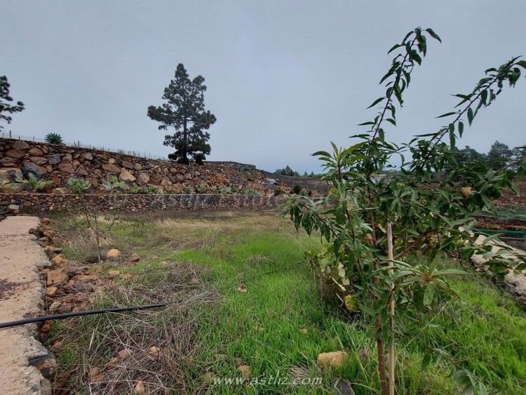 1 bed canarian house for sale in Cho Pancho