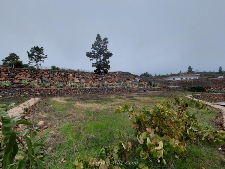 1 bed canarian house for sale in Cho Pancho