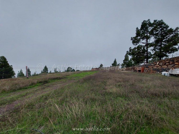 1 bed canarian house for sale in Cho Pancho