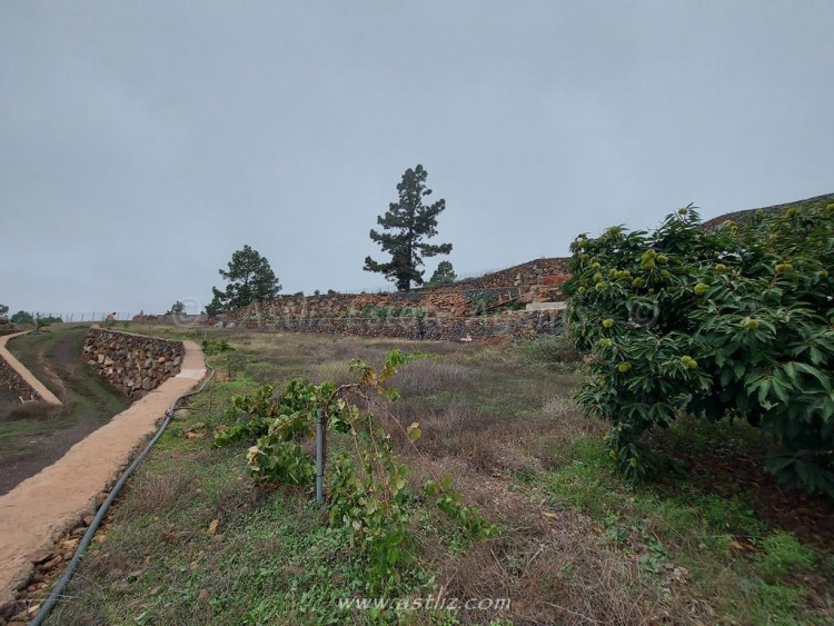 1 bed canarian house for sale in Cho Pancho