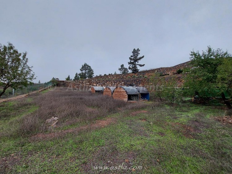 1 bed canarian house for sale in Cho Pancho