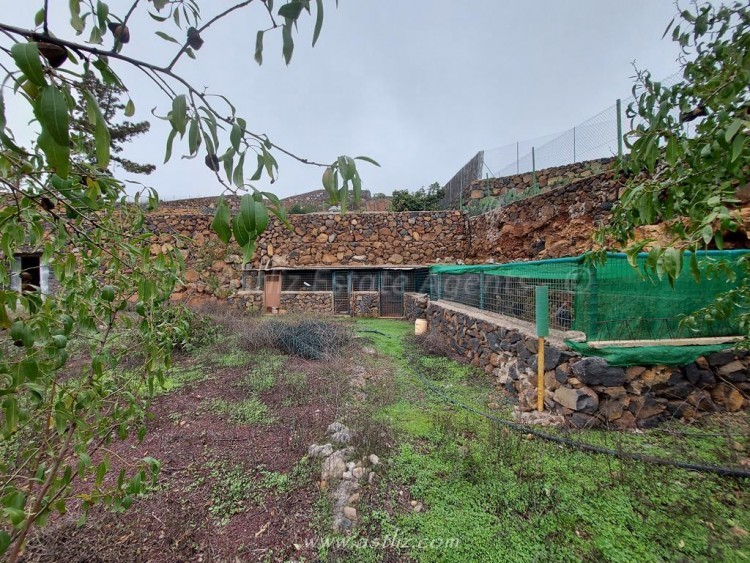 1 bed canarian house for sale in Cho Pancho