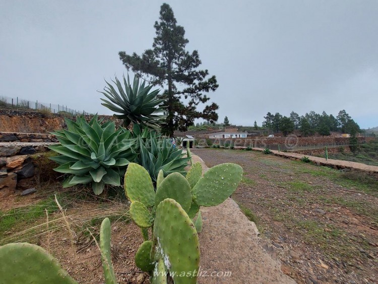 1 bed canarian house for sale in Cho Pancho