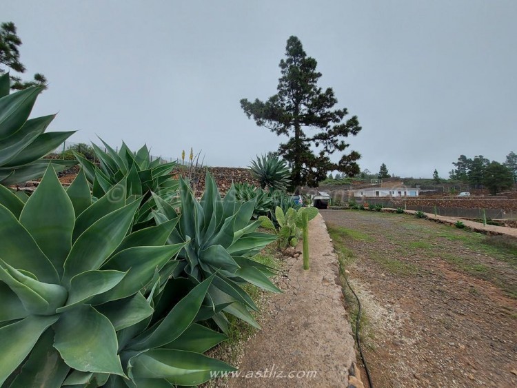 1 bed canarian house for sale in Cho Pancho