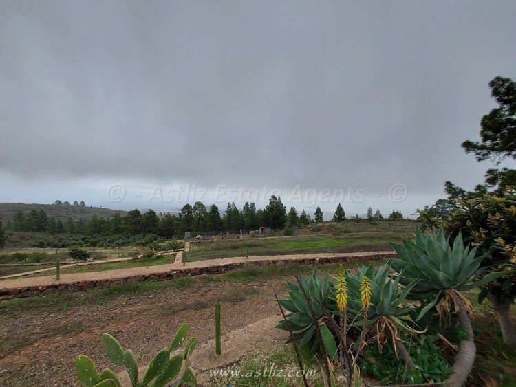 1 bed canarian house for sale in Cho Pancho