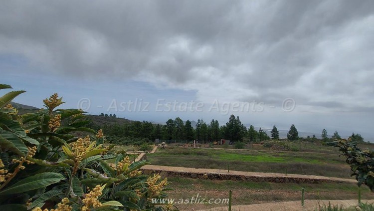 1 bed canarian house for sale in Cho Pancho