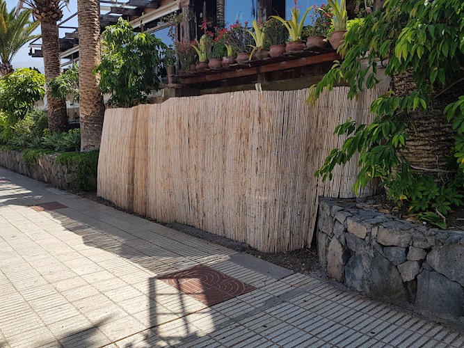 Night Club for sale in San Eugenio Alto