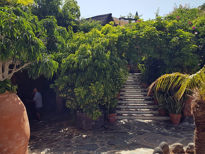 Night Club for sale in San Eugenio Alto