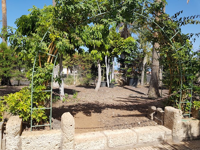 Night Club for sale in San Eugenio Alto