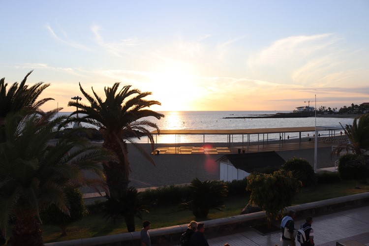 Bar/Cafe for sale in Los Cristianos