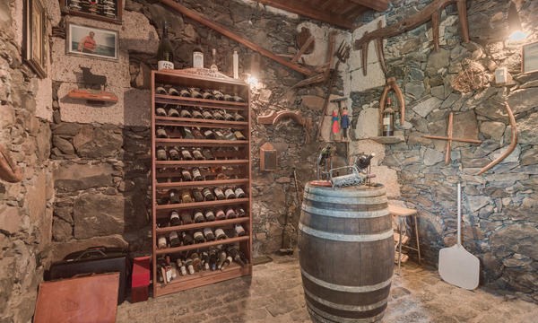 2 bed rustic house for sale in Vilaflor