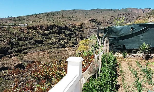 2 bed finca for sale in Tijoco Bajo