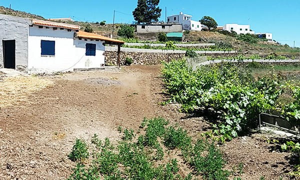 2 bed finca for sale in Tijoco Bajo
