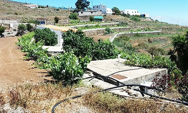 2 bed finca for sale in Tijoco Bajo