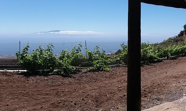 2 bed finca for sale in Tijoco Bajo