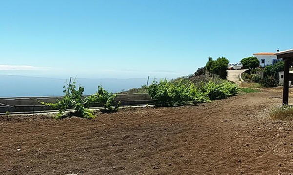 2 bed finca for sale in Tijoco Bajo