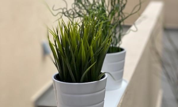 5 bed villa for sale in San Eugenio Alto