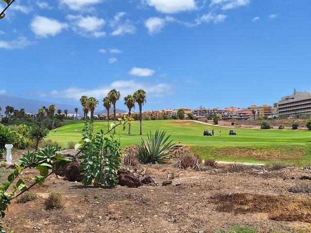 1 bed apartment for sale in Pebble Beach, Amarilla Golf