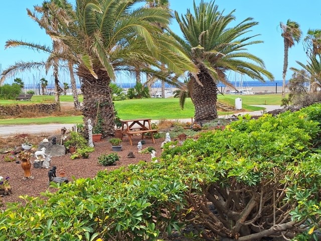 1 bed apartment for sale in Pebble Beach, Amarilla Golf