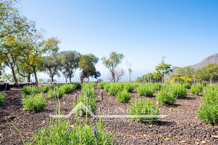 5 bed villa for sale in Arona