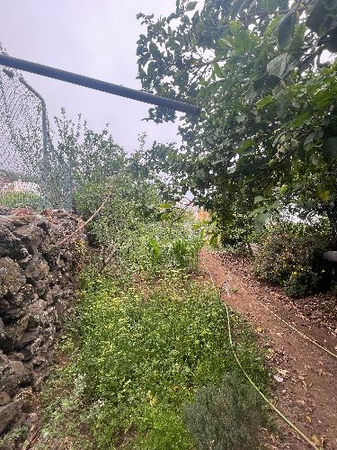 3 bed finca for sale in La Orotava