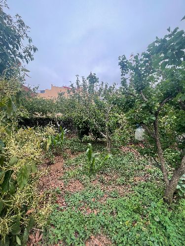 3 bed finca for sale in La Orotava