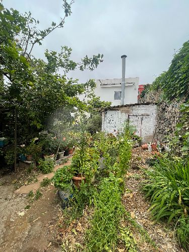 3 bed finca for sale in La Orotava