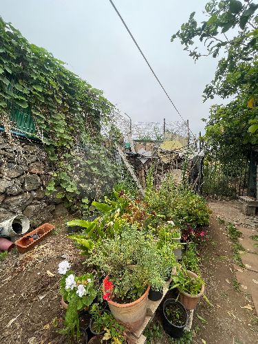 3 bed finca for sale in La Orotava