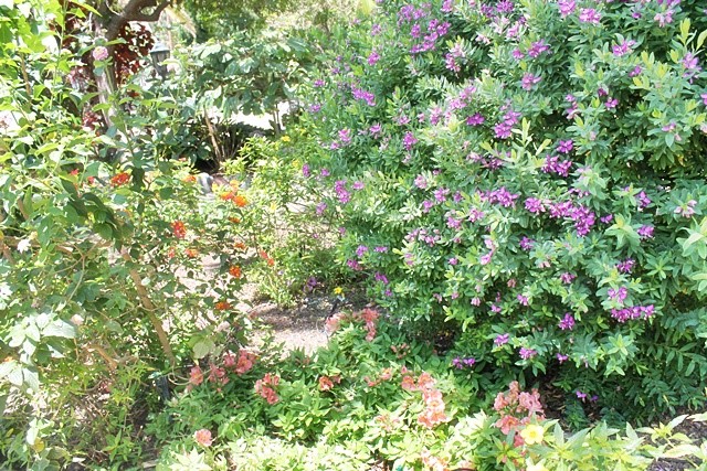 Mount Teide 4 Bed Villa For Sale