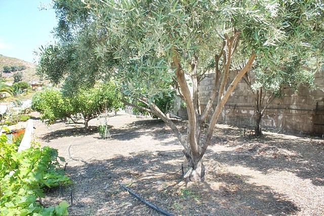 Mount Teide 4 Bed Villa For Sale