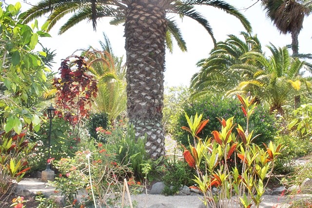 Mount Teide 4 Bed Villa For Sale