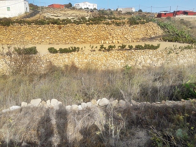 3 bed canarian house for sale in Granadilla