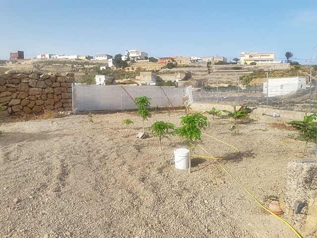 3 bed canarian house for sale in Granadilla