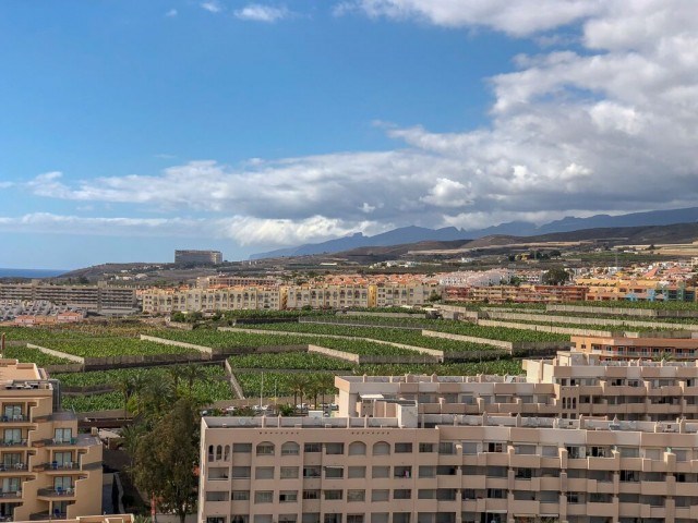 Studio for sale in Playa Paraiso