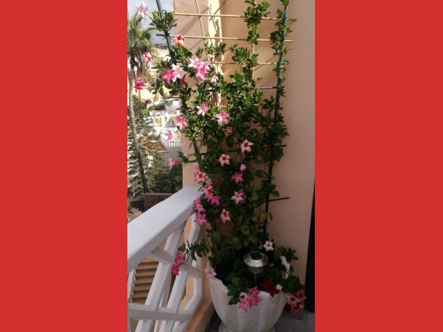 1 bed apartment for sale in San Eugenio Alto