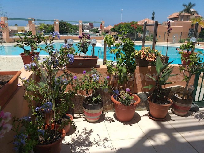 1 bed apartment for sale in Los Almendros, El Madronal