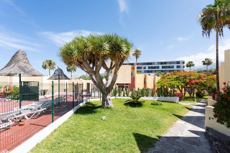 1 bed duplex for sale in El Cortijo, Las Americas