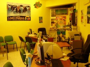 San Eugenio Bajo Empty Local For Sale