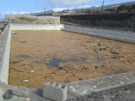 Guia de Isora Empty Local For Sale