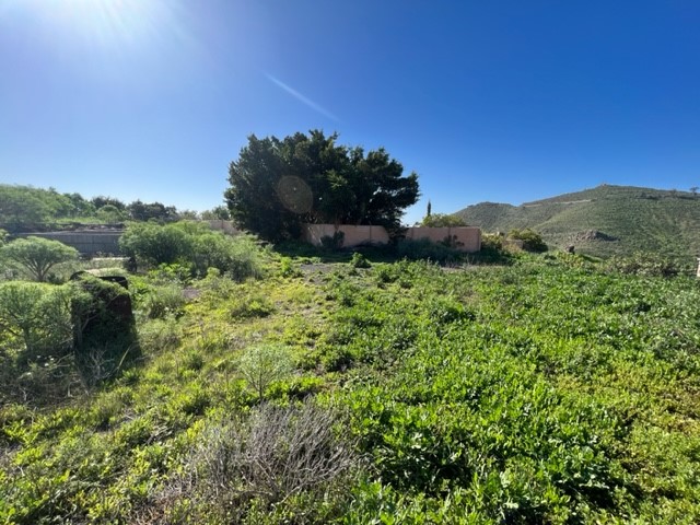 3 bed townhouse for sale in El Roque